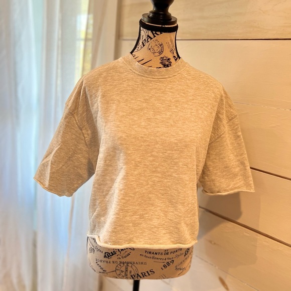 Zara cropped sweatshirt size small, gray, crop top, raw, spring, summer, EUC - Picture 1 of 4
